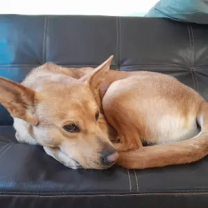 TOOKI