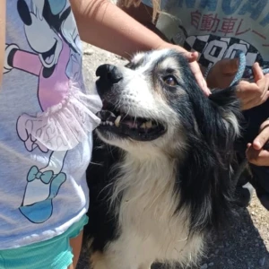 MILO