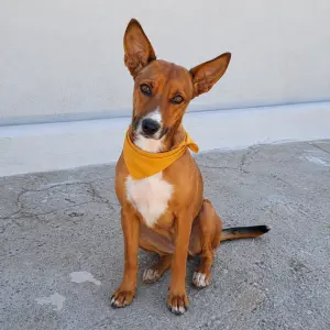 NANO