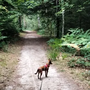 NANO